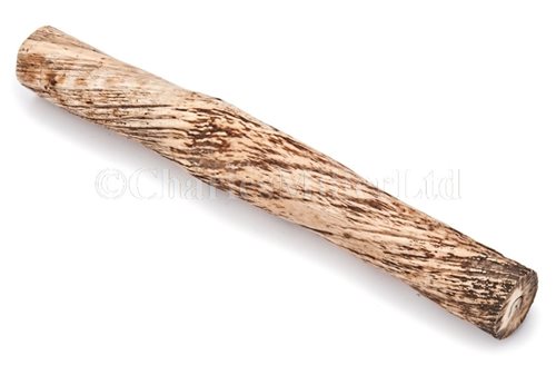 Lot 134 - Ø  A SHORT SECTION OF NARWHAL TUSK (MONODON...