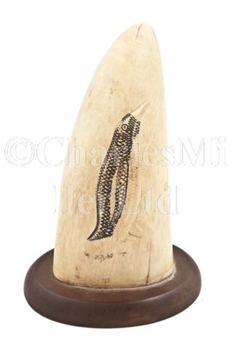 Lot 147 - Ø AN EARLY 20TH-CENTURY INUIT CARVED WHALE'S TOOTH
