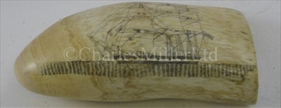 Lot 99 - A SCRIMSHAW-DECORATED WHALE TOOTH<br/>incised over...