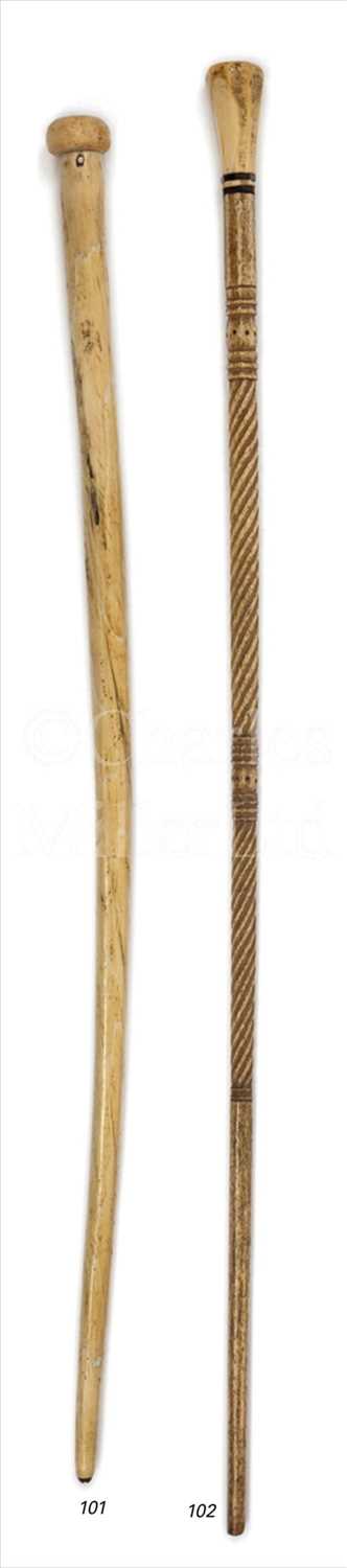 Lot 101 - A 19TH-CENTURY NARWHAL WALKING STICK<br/>the...