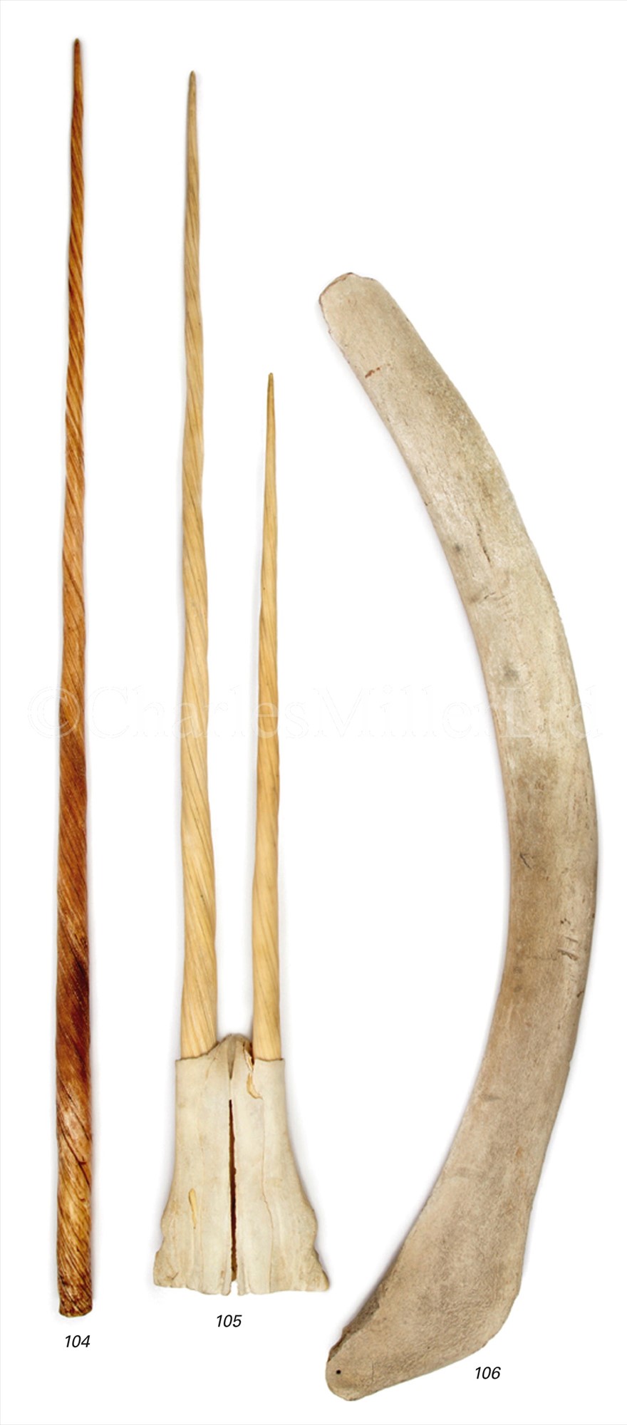 Lot 105 A RARE DOUBLE NARWHAL TUSK of tapering...
