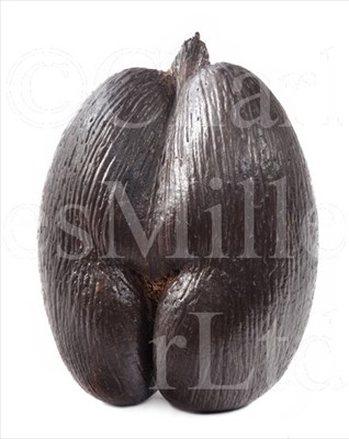 Lot 152 - A COCO DE MER<br/>nut removed and shell skillfully...