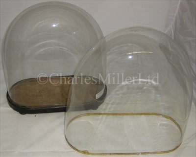 Lot 249 - TWO GLASS DISPLAY DOMES SUITABLE FOR SHIP...