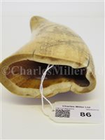 Lot 86 - Ø A 19TH CENTURY SCOTTISH PATRIOTIC SCRIMSHAW DECORATED WHALE'S TOOTH