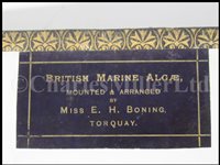 Lot 162 - BRITISH MARINE ALGÆ' - mounted and arranged by Miss E.H. Boning