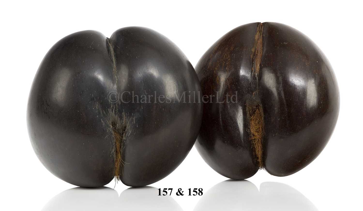 Lot 157 - A COCO DE MER, SEYCHELLES, 20TH CENTURY