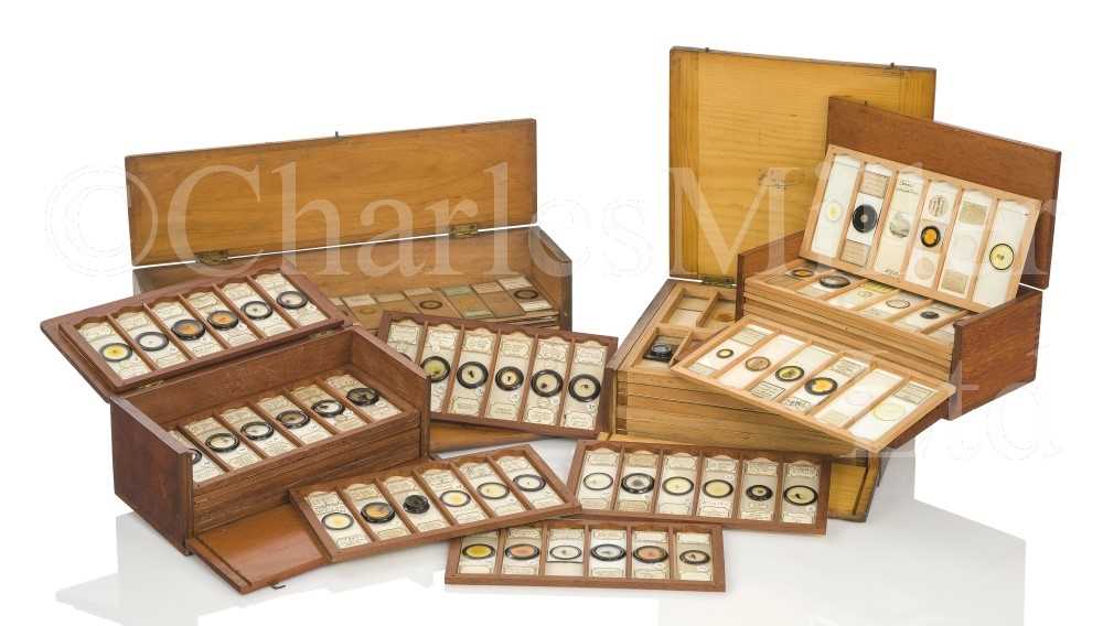 Lot 392 - MICROSCOPE SLIDES FROM THE PERSONAL COLLECTION OF FRED ENOCK (1845-1916)