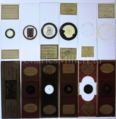 Lot 392 - MICROSCOPE SLIDES FROM THE PERSONAL COLLECTION OF FRED ENOCK (1845-1916)