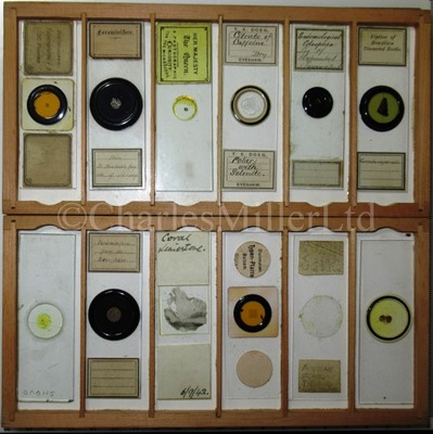Lot 392 - MICROSCOPE SLIDES FROM THE PERSONAL COLLECTION OF FRED ENOCK (1845-1916)