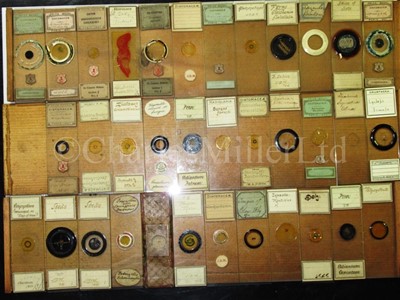 Lot 392 - MICROSCOPE SLIDES FROM THE PERSONAL COLLECTION OF FRED ENOCK (1845-1916)