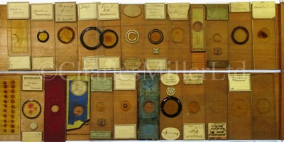 Lot 392 - MICROSCOPE SLIDES FROM THE PERSONAL COLLECTION OF FRED ENOCK (1845-1916)