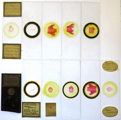 Lot 392 - MICROSCOPE SLIDES FROM THE PERSONAL COLLECTION OF FRED ENOCK (1845-1916)