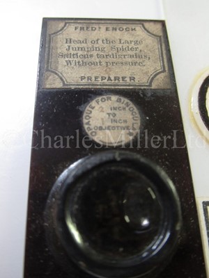 Lot 392 - MICROSCOPE SLIDES FROM THE PERSONAL COLLECTION OF FRED ENOCK (1845-1916)