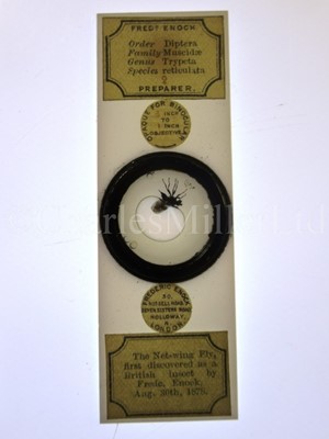 Lot 392 - MICROSCOPE SLIDES FROM THE PERSONAL COLLECTION OF FRED ENOCK (1845-1916)