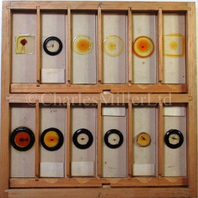 Lot 392 - MICROSCOPE SLIDES FROM THE PERSONAL COLLECTION OF FRED ENOCK (1845-1916)