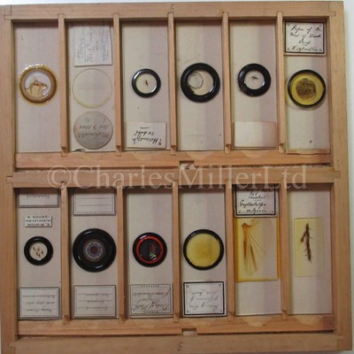 Lot 392 - MICROSCOPE SLIDES FROM THE PERSONAL COLLECTION OF FRED ENOCK (1845-1916)