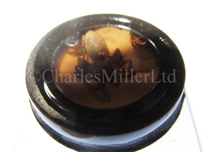 Lot 392 - MICROSCOPE SLIDES FROM THE PERSONAL COLLECTION OF FRED ENOCK (1845-1916)