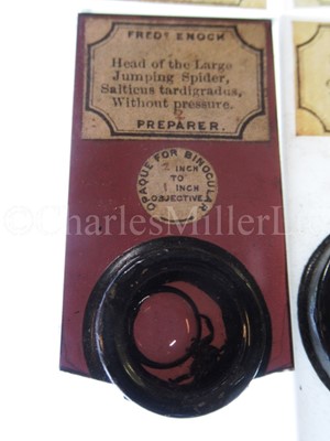 Lot 392 - MICROSCOPE SLIDES FROM THE PERSONAL COLLECTION OF FRED ENOCK (1845-1916)