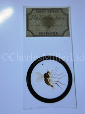 Lot 392 - MICROSCOPE SLIDES FROM THE PERSONAL COLLECTION OF FRED ENOCK (1845-1916)