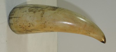 Lot 46 - Ø A  SAILOR'S SCRIMSHAW DECORATED WHALE'S TOOTH, CIRCA 1840