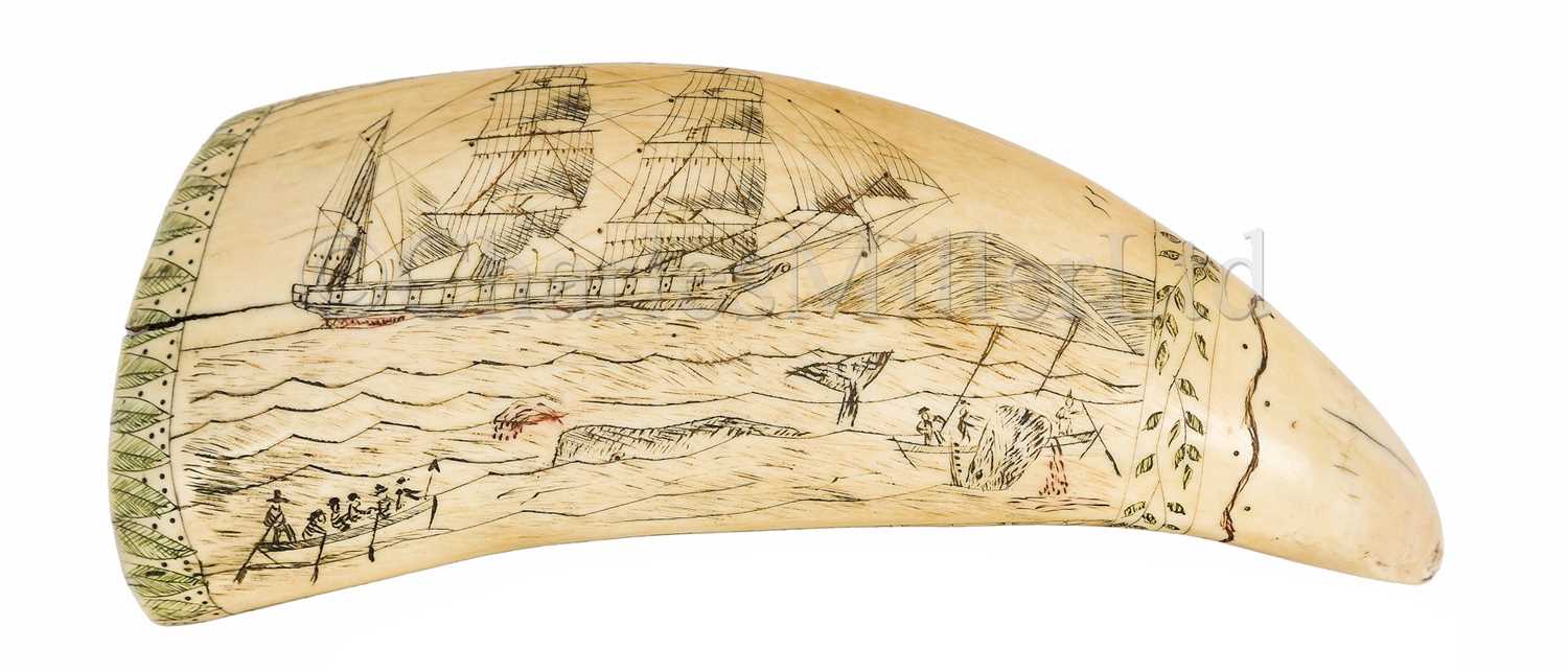 Lot 47 - Ø A SCRIMSHAW DECORATED WHALE'S TOOTH
