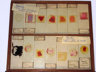 Lot 266 - A CABINET OF MICROSCOPE SLIDES