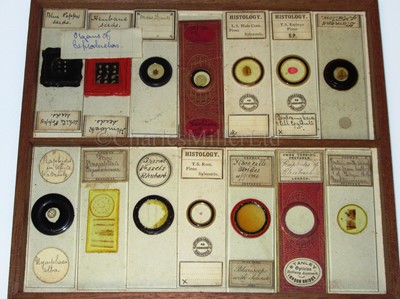 Lot 266 - A CABINET OF MICROSCOPE SLIDES