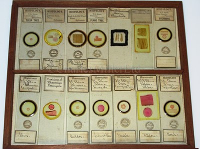 Lot 266 - A CABINET OF MICROSCOPE SLIDES