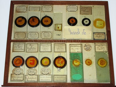 Lot 266 - A CABINET OF MICROSCOPE SLIDES