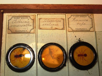 Lot 266 - A CABINET OF MICROSCOPE SLIDES