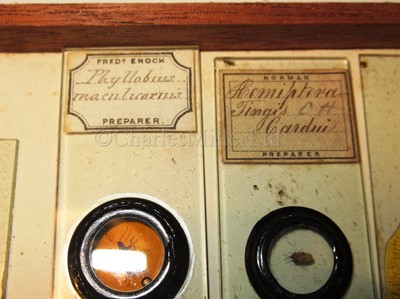 Lot 266 - A CABINET OF MICROSCOPE SLIDES