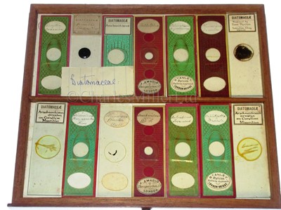 Lot 266 - A CABINET OF MICROSCOPE SLIDES