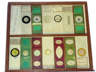 Lot 266 - A CABINET OF MICROSCOPE SLIDES