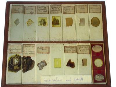 Lot 266 - A CABINET OF MICROSCOPE SLIDES