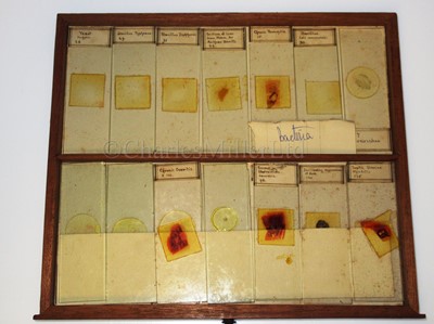 Lot 266 - A CABINET OF MICROSCOPE SLIDES