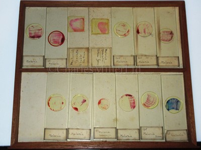 Lot 266 - A CABINET OF MICROSCOPE SLIDES