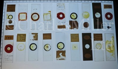 Lot 386 - A COLLECTION OF MICROSCOPE SLIDES