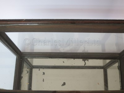 Lot 7 - A 19TH CENTURY SHIP MODEL DISPLAY CASE