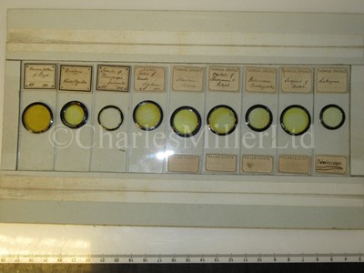 Lot 391 - A COLLECTION OF ENTOMOLOGICAL MICROSCOPE SLIDES