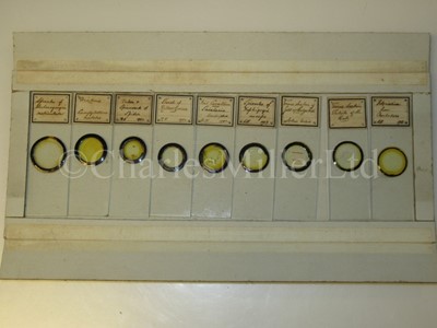 Lot 391 - A COLLECTION OF ENTOMOLOGICAL MICROSCOPE SLIDES