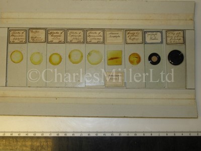 Lot 391 - A COLLECTION OF ENTOMOLOGICAL MICROSCOPE SLIDES