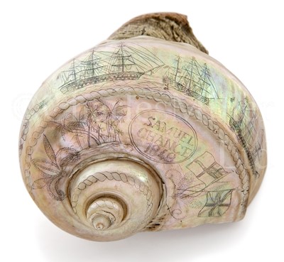 Lot 202 - A SCRIMSHAW DECORATED NAUTILUS SHELL