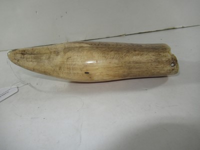 Lot 33 - Ø A 19TH CENTURY SAILOR'S SCRIMSHAW DECORATED WHALE'S TOOTH
