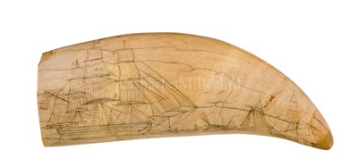 Lot 48 - Ø AN AMERICAN SCRIMSHAW DECORATED WHALE'S TOOTH, CIRCA 1840