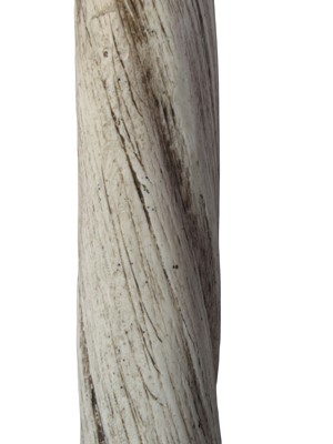 Lot 6 - A FACSIMILE NARWHAL TUSK