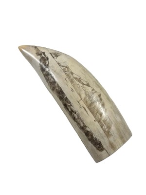 Lot 11 - Ø AN EARLY 20TH CENTURY SCRIMSHAW WHALE TOOTH