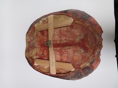 Lot 168 - AN EARLY 20TH CENTURY SOUTH AMERICAN RIVER TURTLE CARAPACE