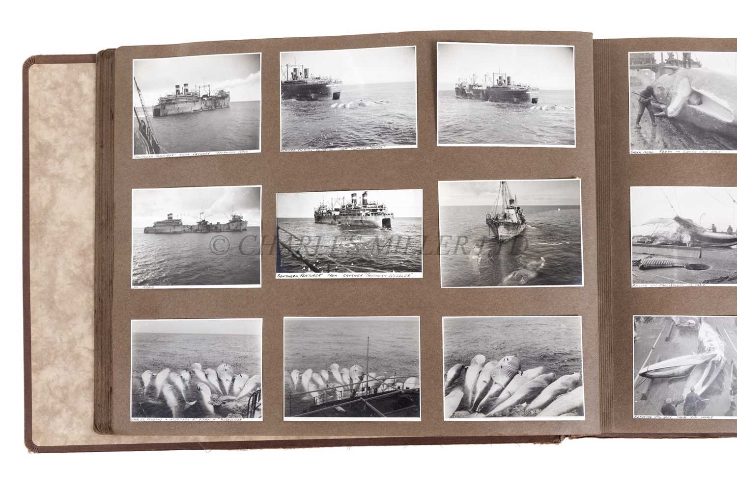 Lot 96 - A COMPREHENSIVE PHOTOGRAPH ALBUM OF THE ANTARCTIC WHALING EXPEDITION OF THE 'SOUTHERN VENTURER', 1945-46