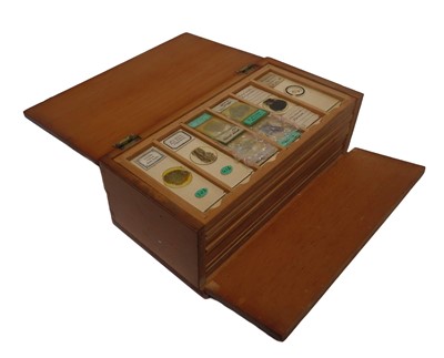 Lot 359 - A COLLECTION OF 19TH CENTURY SPECIMEN CABINETS WITH SLIDES