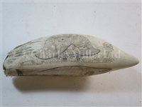 Lot 131 - Ø A 19TH CENTURY SCRIMSHAW DECORATED WHALE'S TOOTH